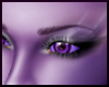 Allie Brow Purple 1