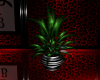 VIP POTTED PLANT