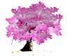 [*]tree pink animation
