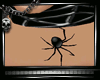 [DS]|Intentions|Collar
