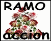 GM's RAMO accion rosas