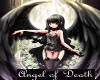 Angel Of Death Anime