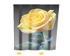 ~D~ Yellow Rose Curtain