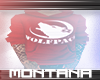 |BM|WOLFPACK HOODIE V2