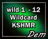 !D! Wildcard KSHMR
