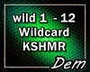 !D! Wildcard KSHMR