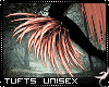 !F:Abyss:Tufts 4