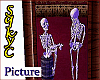 Skeleton Picture 1