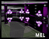 M-Purple iLLusions  