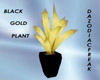 Black & Gold Plant
