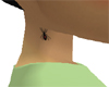 BBJ spider under ear tat