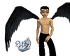 DLUX Angel Wings Black