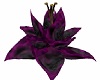 [LN]  Purple Flower