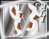 [ALI] White Band Shoes