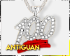 A 100 Silver & Red Chain