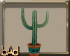 Cactus Animated