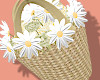 Daisy flower basket