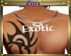 ~L~Custom Exotic Necklac