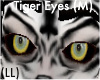 (LL)Tiger Eyes (M)