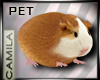 DER! Hamster Pet Kawaii