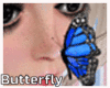 Butterfly Nose