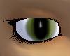 Captive Olive eyes
