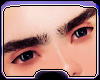EyeBrow
