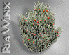 Sm Snowy Shrub + Berries