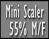 [Cup] Mini Scaler 55%