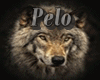 pelo