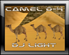 DJ Light Camel