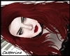 [Cat]Heard Red