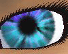 Mystic Terabithia Eyes