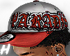 Para Cap Grey & Red H.O