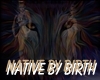 native by birth sticker