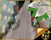 GP*WDG Veil Aimeh