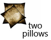 Two Throw Pillows