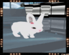 SL✦ White bunny