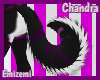 Chandra Tail 2