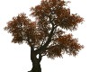 Realistic Fall tree
