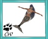 CW 4 Mermaid Dances