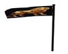 Payson Flag