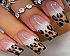 Glam Kitty