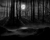 dark forest/moon bg