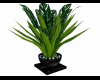 Plant pot black