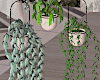 Hang Plants Derivable
