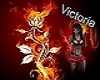 Fire rose Vic
