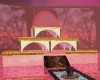 Hidden Pink Color Palace