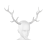 Pearl Deer