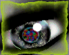 sugar rainbow onyx eyes
